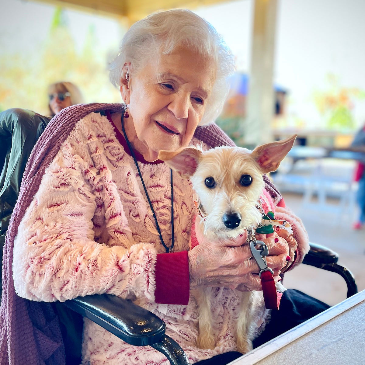 Catawba Valley Obedience Club, Hickory, NC